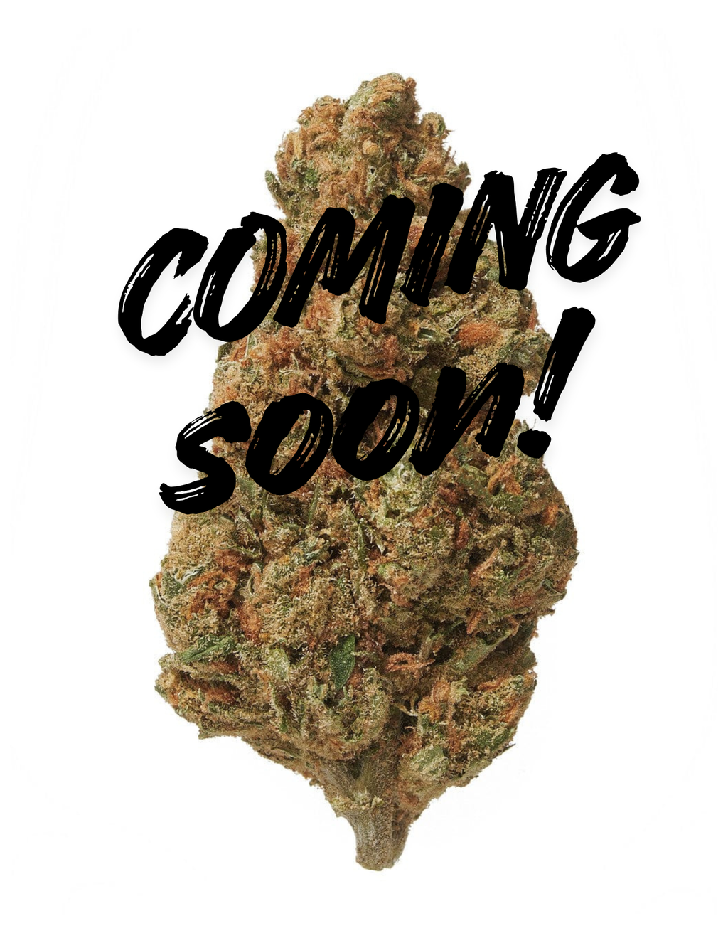 3.5G Super Silver Haze (Light Dep) | THCA FLOWER