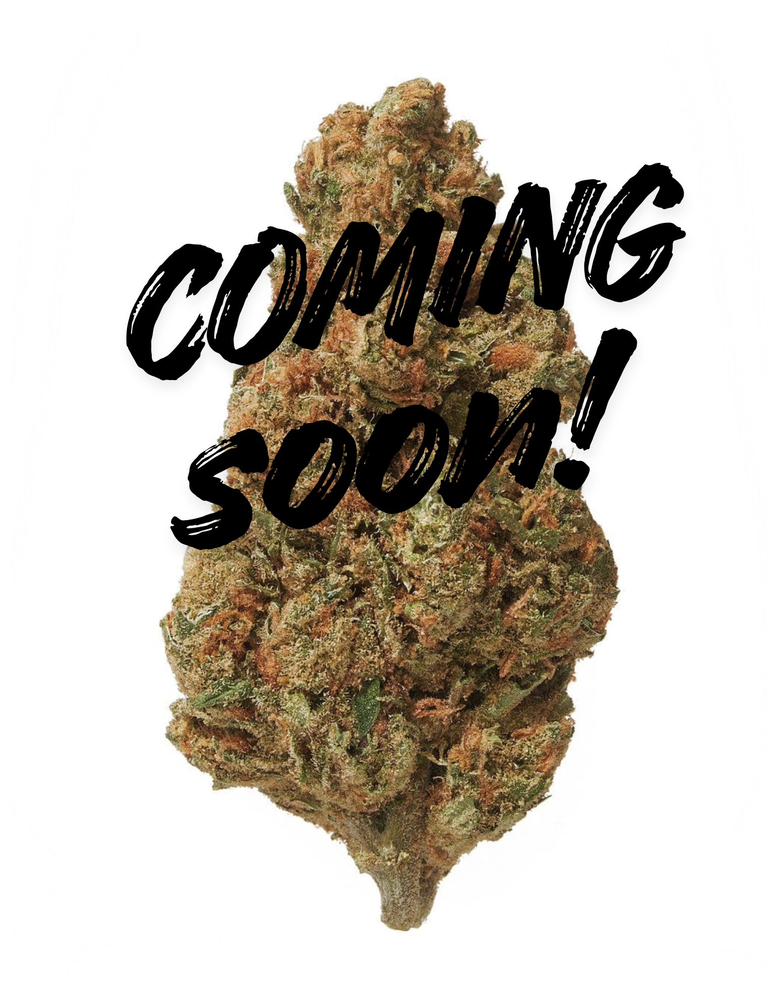 3.5G Super Silver Haze (Light Dep) | THCA FLOWER