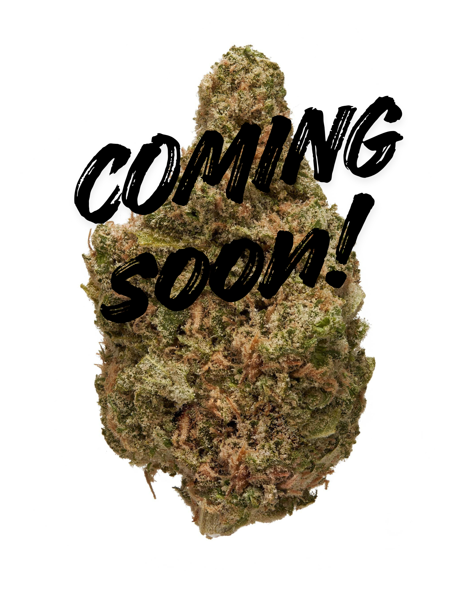 3.5G Blue Dream (Light Dep) | THCA FLOWER