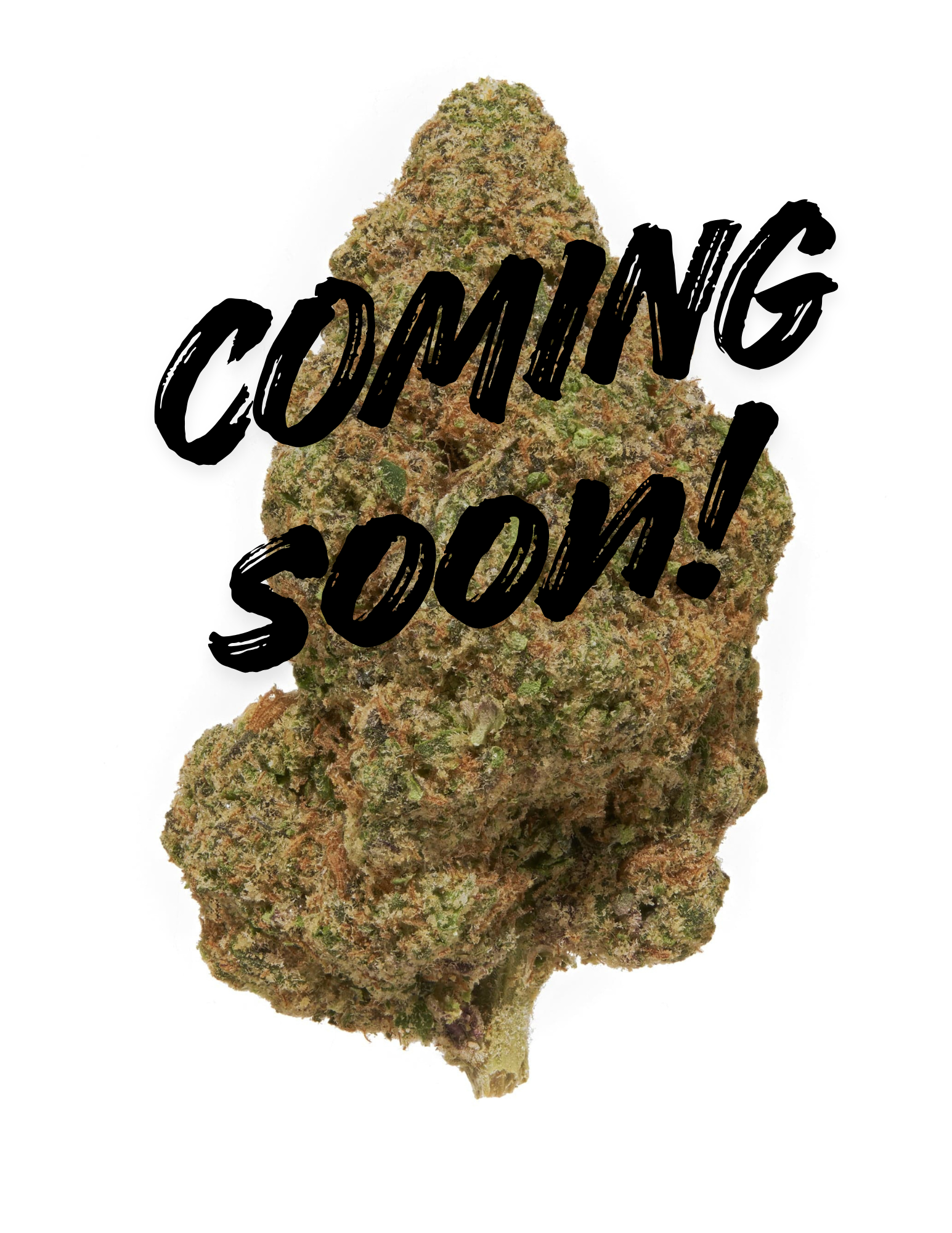 3.5G Animal Tree (Indoor) | THCA Flower