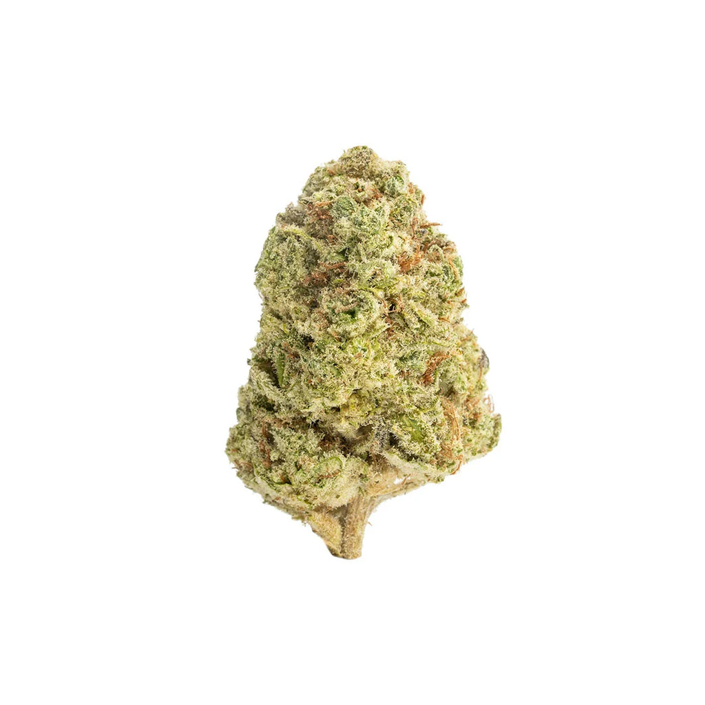 7G Trap Queen | THCA Flower